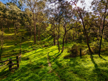 Victorian Rural Country Landscape in Australiaの写真素材