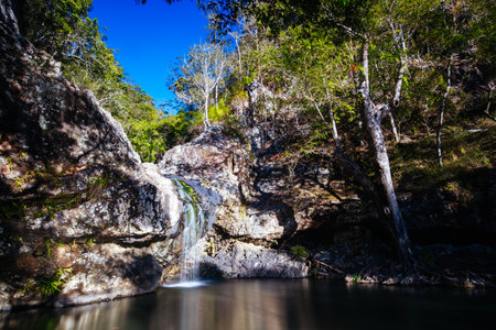 Kondalilla National Park in Queensland Australia