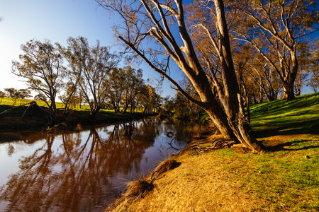 Campaspe River in Axedale in Australiaの写真素材
