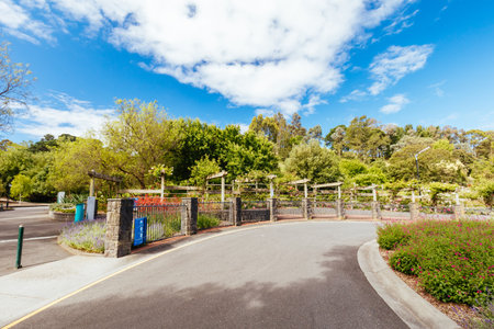 Wilson Botanic Park Berwick in Victoria Australiaの写真素材