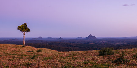 One Tree Hill in Queensland Australiaの写真素材