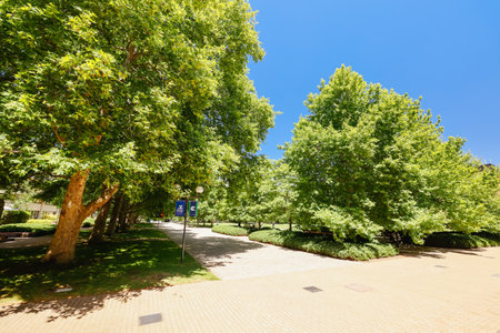 Melbourne University Campus Parkville Australiaのeditorial素材