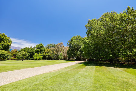 Melbourne University Campus Parkville Australiaのeditorial素材