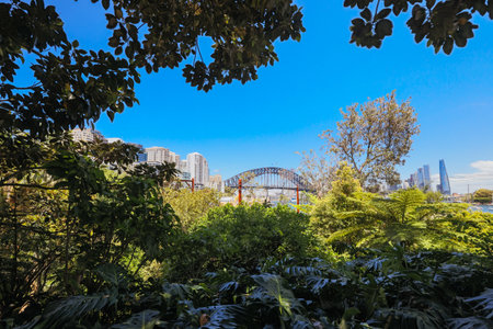 Wendy Whiteleys Secret Garden in Australiaの写真素材