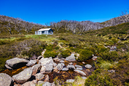 Whites River Hut in Kosciuszko National Park in Australiaの写真素材