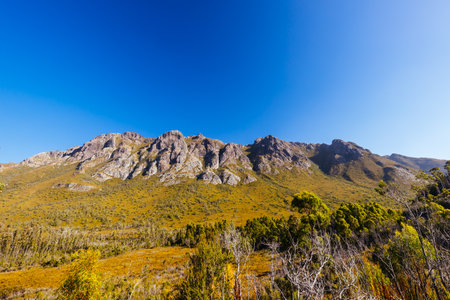 Gordon River Road Landscape in Tasmania Australiaの写真素材