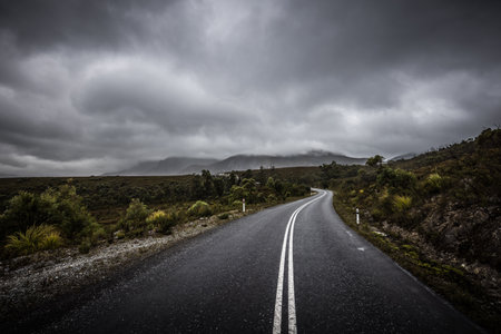 Gordon River Road Landscape in Tasmania Australiaの写真素材