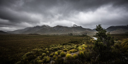 Gordon River Road Landscape in Tasmania Australiaの写真素材