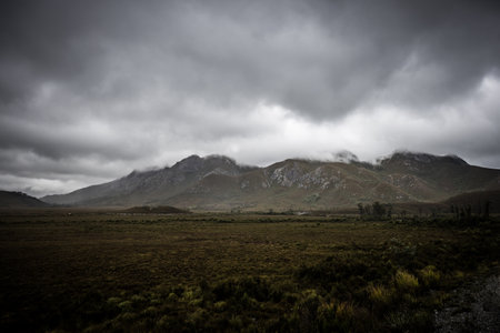 Gordon River Road Landscape in Tasmania Australiaの写真素材