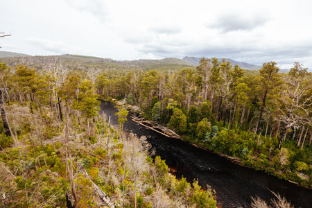Tahune Airwalk in Tasmania Australiaの写真素材