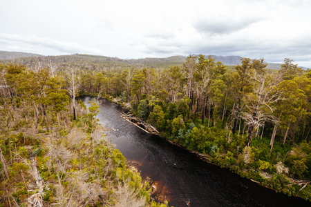 Tahune Airwalk in Tasmania Australiaの写真素材