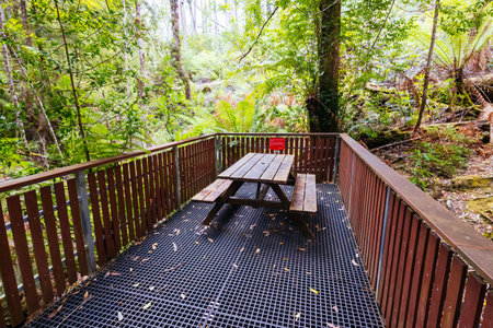 Tahune Airwalk in Tasmania Australiaの写真素材