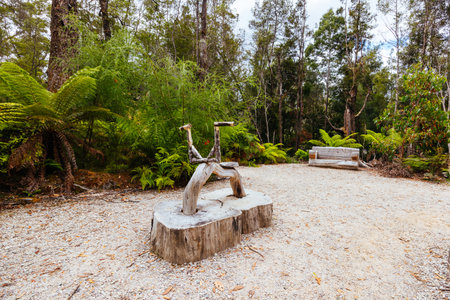 Tahune Airwalk in Tasmania Australiaの写真素材