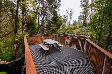 Tahune Airwalk in Tasmania Australiaの写真素材