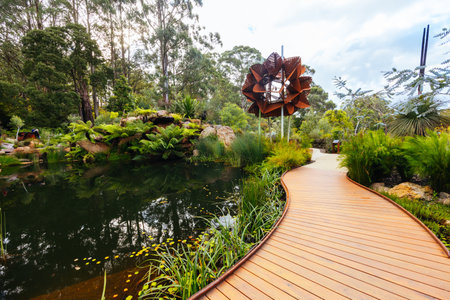 Dandenong Ranges Botanic Garden in Olinda Australiaの写真素材