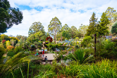 Dandenong Ranges Botanic Garden in Olinda Australiaの写真素材