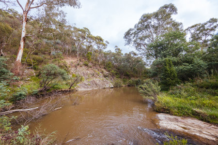Plenty Gorge Parklands in Australiaの写真素材