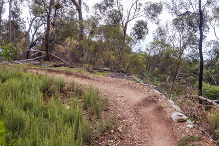 Plenty Gorge Parklands in Australia