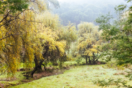 Lilydale to Warburton Rail Trail in Australia