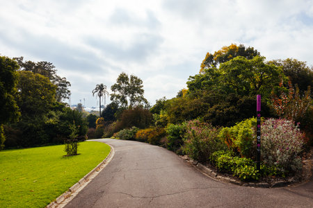 Royal Botanic Gardens in Melbourne Australiaの写真素材