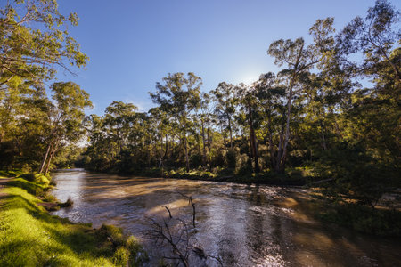 Warrandyte River Reserve in Melbourne Australiaの写真素材