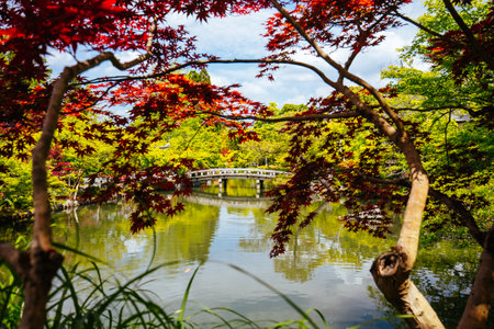 Eikando Temple (Eikan-do) in Kyoto Japanの写真素材