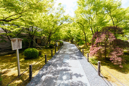 Eikando Temple (Eikan-do) in Kyoto Japanの写真素材