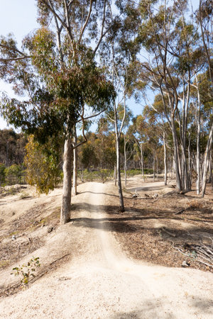 You Yangs Mountain Bike Park in Australiaの写真素材