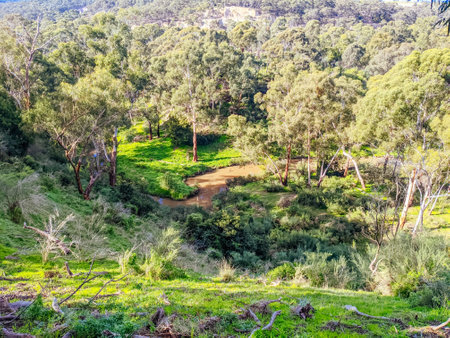 Plenty Gorge Parklands in Australiaの写真素材