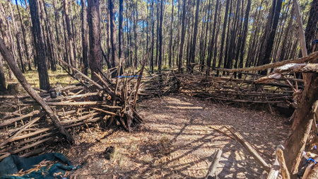 Victorian Rural Country Bush Camp in Australiaの写真素材