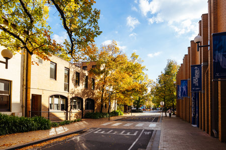 Melbourne University Campus Parkville Australiaのeditorial素材