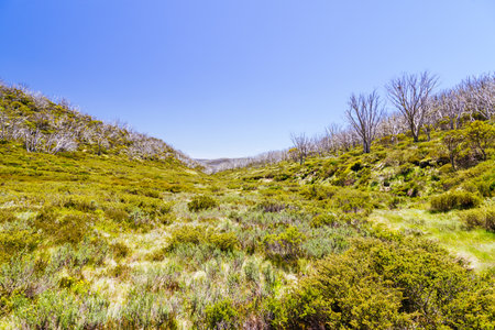 Schlink Pass Landscape in Kosciuszko National Park in Australiaの写真素材