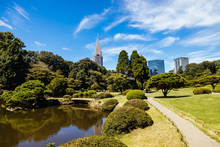 Shinjuku Gyoen National Garden in Tokyo Japanの写真素材