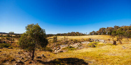 Flat Rock Landscape in Beechworth Australiaの写真素材