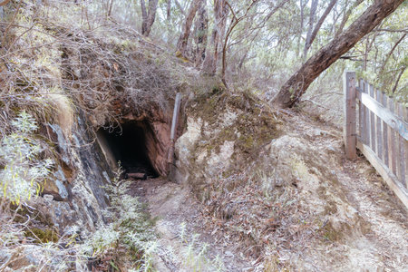 Warrandyte State Reserve Gold Memorial in Melbourne Australia