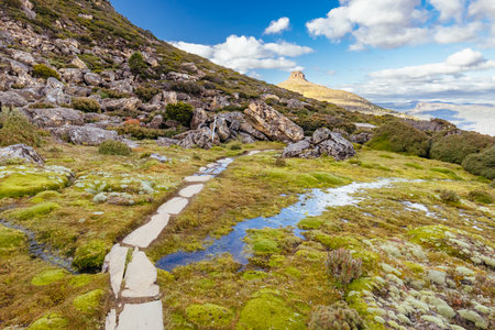 Views around Mt Ossa in Tasmania Australiaの写真素材