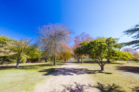 Seawinds Garden in Mornington Peninsula Australiaの写真素材