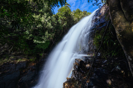 Fergusson Falls in Tasmania Australia