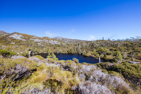 Wombat Pool at Cradle Mountain in Tasmania Australiaの写真素材