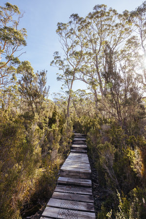 Du Cane Range View in Tasmania Australiaの写真素材