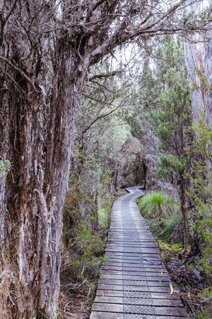Overland Track Landscape in Tasmania Australiaの写真素材