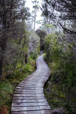 Overland Track Landscape in Tasmania Australia