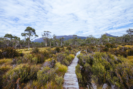 Overland Track Landscape in Tasmania Australiaの写真素材