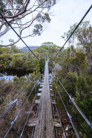 Overland Track Suspension Bridge in Tasmania Australiaの写真素材