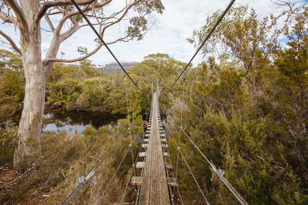 Overland Track Suspension Bridge in Tasmania Australiaの写真素材
