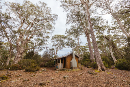 Narcissus Hut in Tasmania Australiaの写真素材