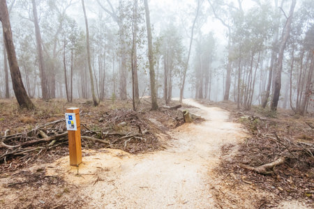 Djuwang Baring Mountain Bike Park in Creswick Australia