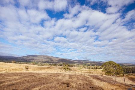 Ellendale Landscape in Tasmania Australiaの写真素材