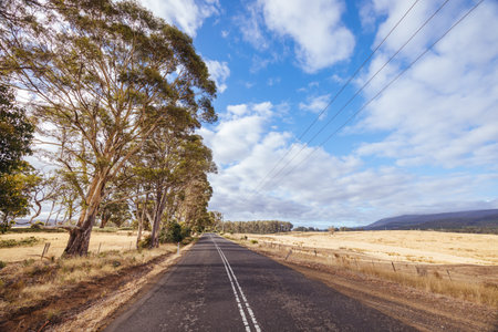 Ellendale Landscape in Tasmania Australiaの写真素材