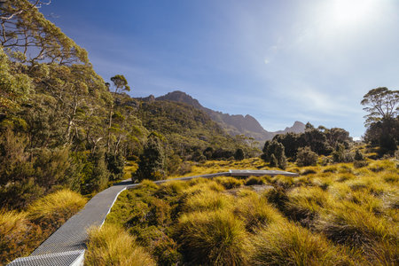 Scott Kilvert Memorial Hut in Tasmania Australiaの写真素材